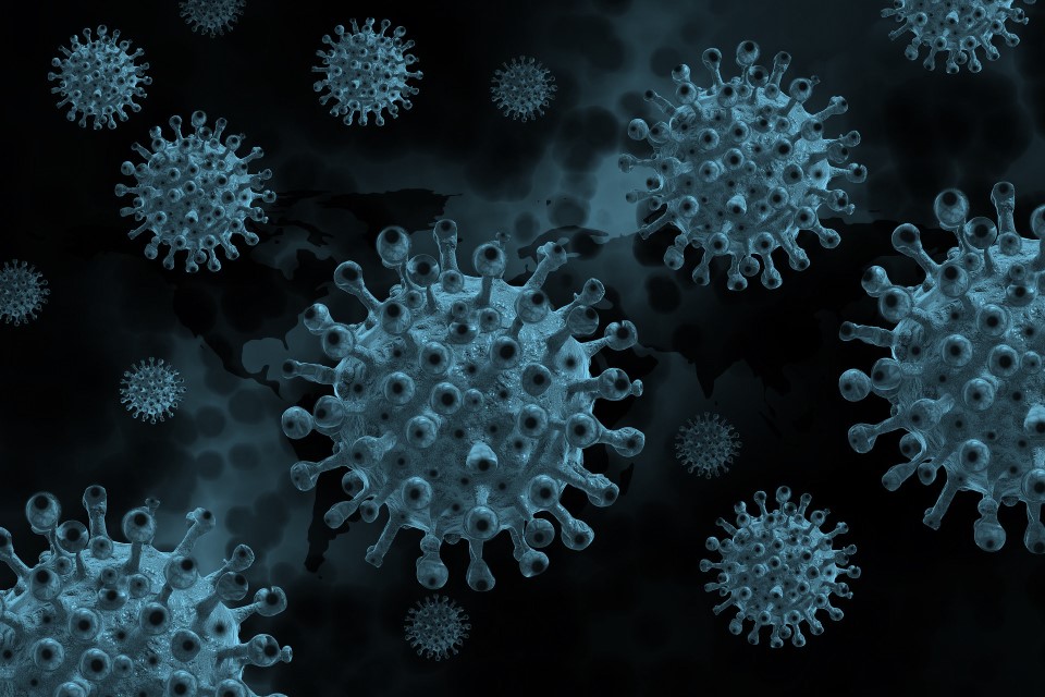 Coronavirus - Informationen zum Studienbetrieb während der Corona-Pandemie